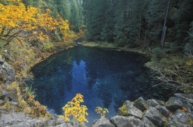 Blue Pool, McKenzie River, Oregon